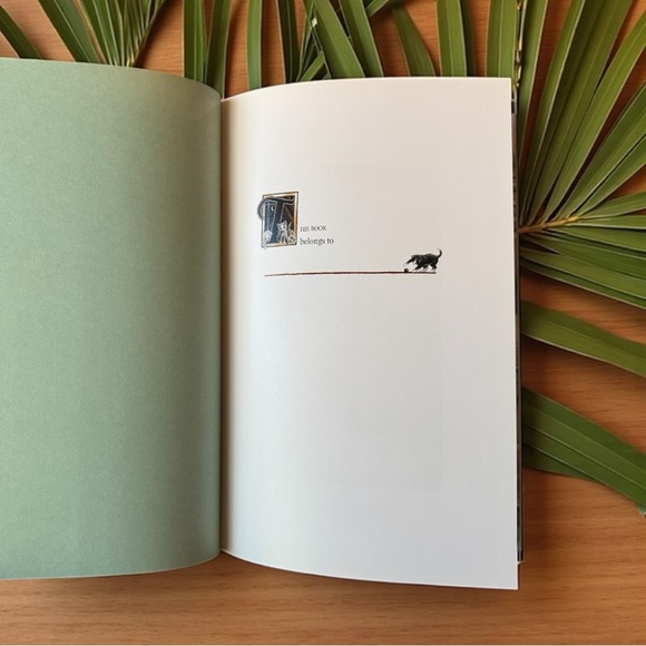 Cats Vanish Slowly by Ruth Tiller & Laura Seeley - 1995 Hardcover w/ Dust Jacket - Picture 7 of 12